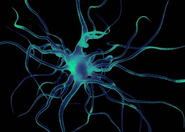 Sinir Sisteminin Bir Kısmını Oluşturan Nöron Veya Sinir Hücreleri Elektriksel — Stok fotoğraf