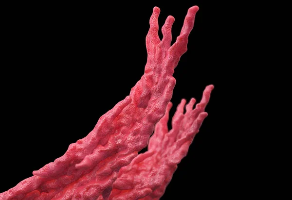 Бактерии Туберкулеза Вид Крупным Планом — стоковое фото