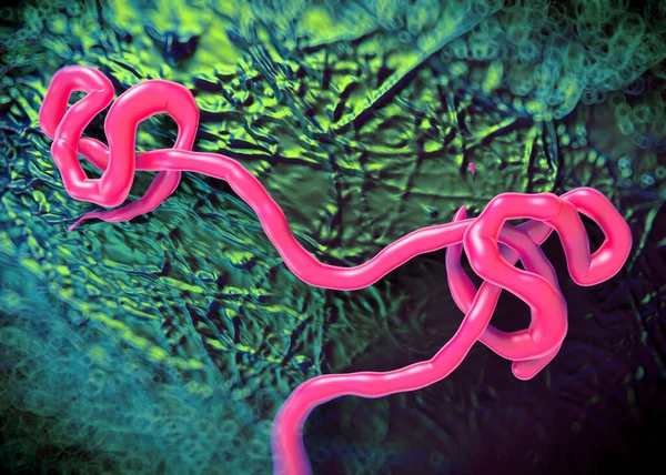 Virus Del Ébola Causa Fiebre Del Ébola Uno Los Grupos — Foto de Stock
