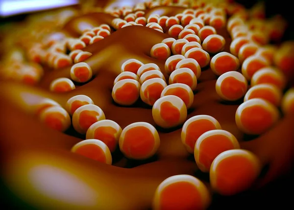Superbug Oder Staphylococcus Aureus Mrsa Bakterien — Stockfoto