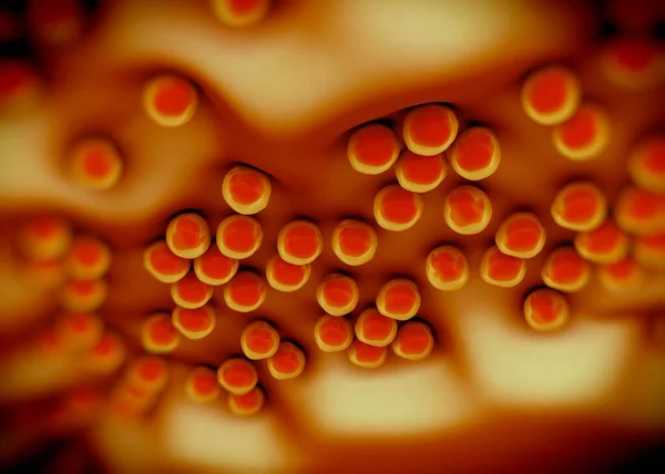 Superbug Staphylococcus Aureus Mrsa 박테리아 — 스톡 사진