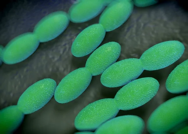 Рендеринг Ацетобактерии — стоковое фото