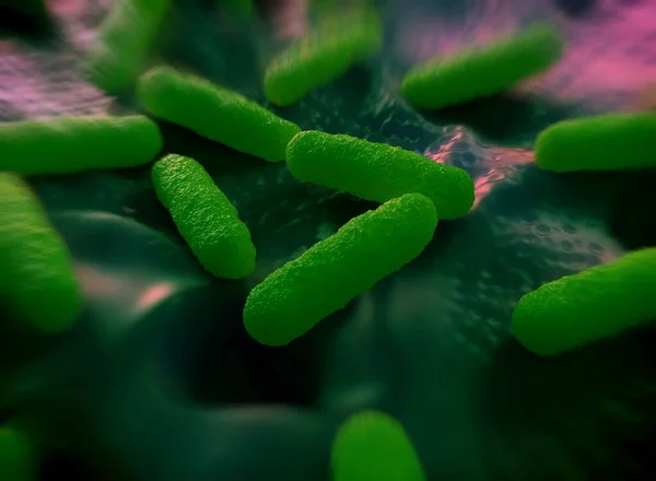 Bakteriális Sejtek Illusztrációja — Stock Fotó