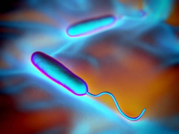 Ces Bactéries Forme Bâtonnets Gram Négatif Ont Seul Flagelle Polaire — Photo