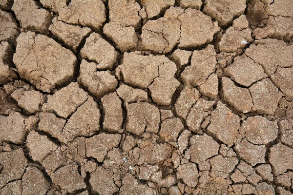 Kuru toprakta çatlaklar