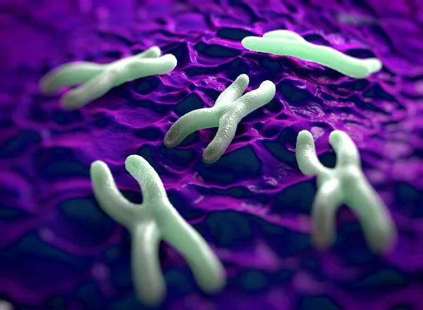 Chromosomes are a packaged form of the genetic material DNA  and form during cell replication