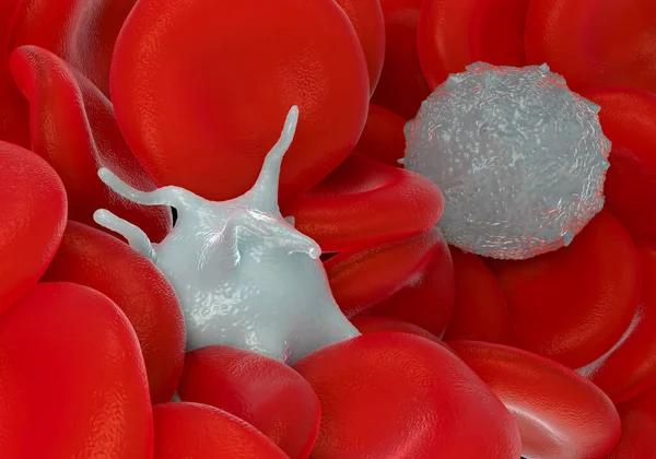 Red Blood Cells Activated Platelet White Blood Cells Microscopic Photos — Stock Photo, Image
