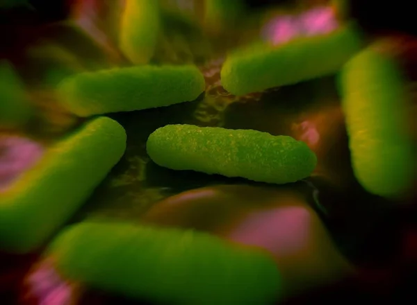 Illustration Bacteria Cells — Stock Photo, Image