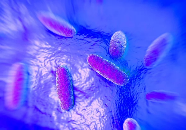 Bakterie Salmonella Typhimurium Flagellan Gram Ujemny Bacillus Typhimurium Jest Główną — Zdjęcie stockowe