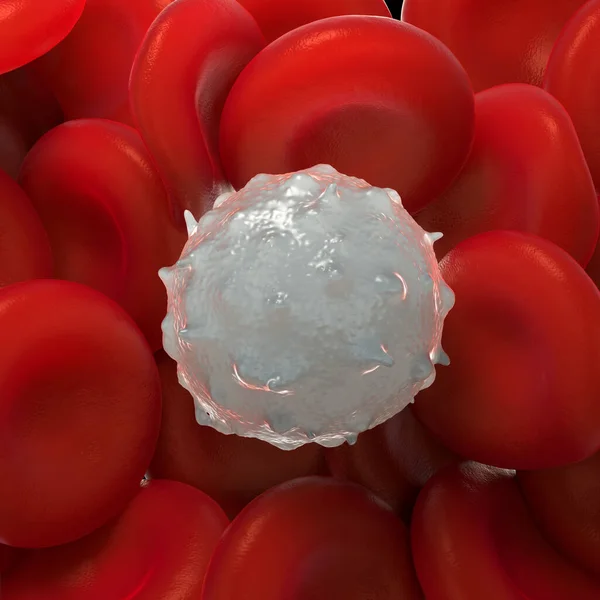 Red Blood Cells Activated Platelet White Blood Cells Microscopic Photos — Stock Photo, Image