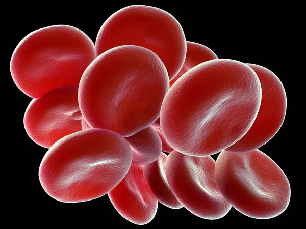 Illustratie Menselijke Rode Bloedcellen — Stockfoto