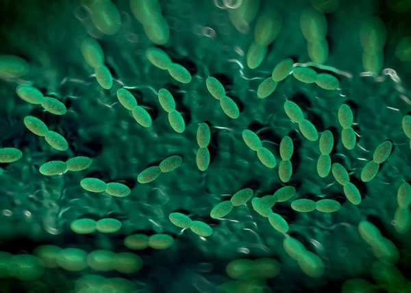 3D görüntüleme - asetobacter bakteri