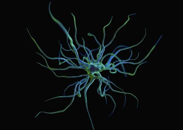Neuronas Células Nerviosas Que Forman Parte Del Sistema Nervioso Que — Foto de Stock