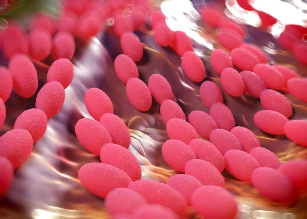 3D görüntüleme - asetobacter bakteri