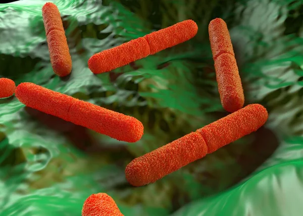 Clostridium botulinum bakteri çizimi