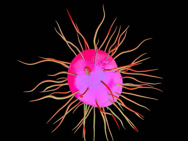 Neisseria Gonorrhoeae Bakterie Umělecká Díla — Stock fotografie