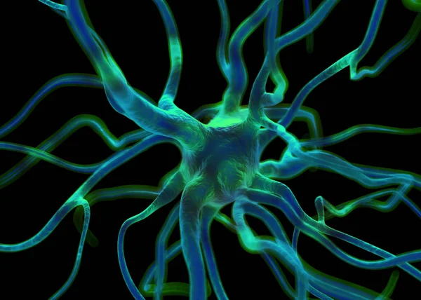 Sinir sisteminin bir kısmını oluşturan nöron veya sinir hücreleri elektriksel ve kimyasal sinyallerle bilgi iletir ve işler..