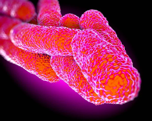 Zbliżenie Bakterii Legionella Pneumophila — Zdjęcie stockowe