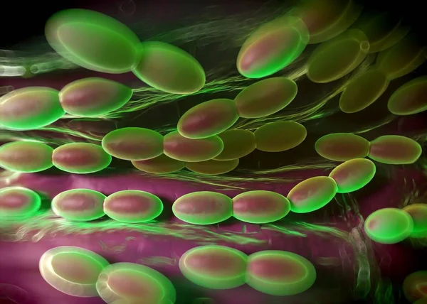 3D görüntüleme - asetobacter bakteri