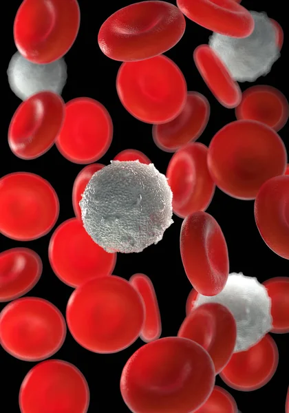 Glóbulos Vermelhos Plaquetas Ativadas Glóbulos Brancos Fotos Microscópicas — Fotografia de Stock