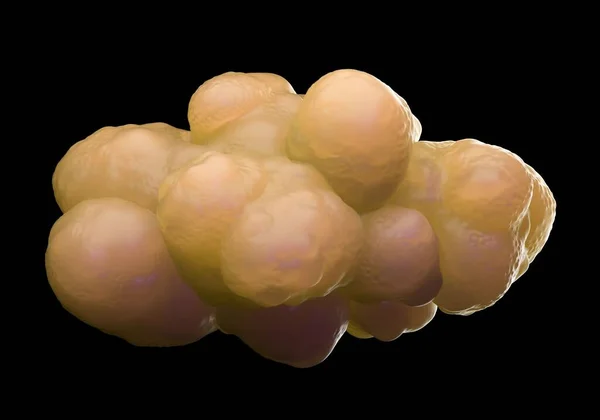 Abbildung Pluripotente Stammzellen — Stockfoto