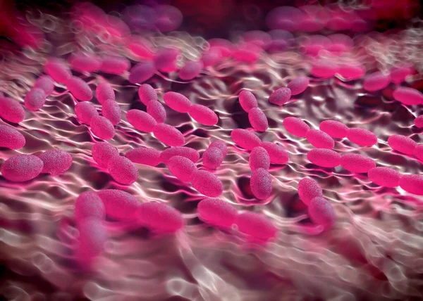 3D görüntüleme - asetobacter bakteri