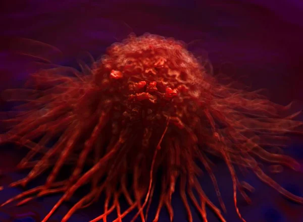 Kanser hücrelerine yakın çekim