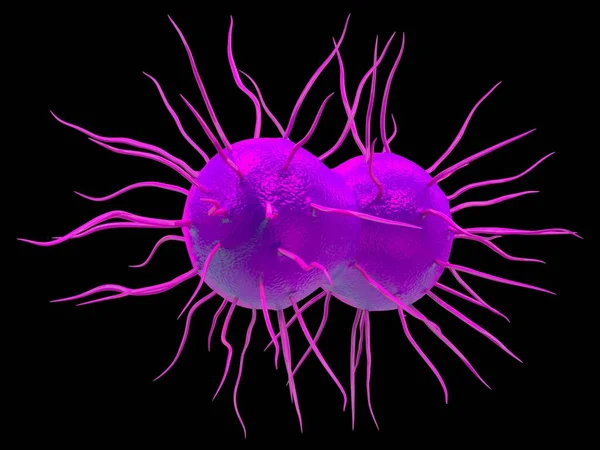 Neisseria Gonorrhoeae Bakterier Konstverk — Stockfoto