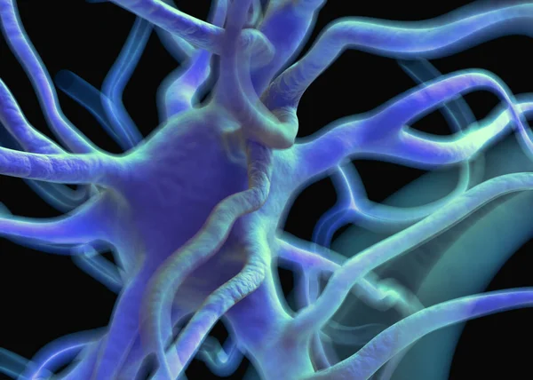 Sinir sisteminin bir kısmını oluşturan nöron veya sinir hücreleri elektriksel ve kimyasal sinyallerle bilgi iletir ve işler..