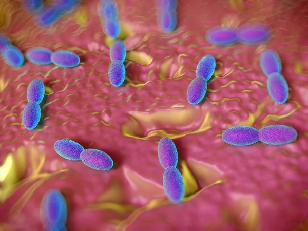 3D görüntüleme - asetobacter bakteri