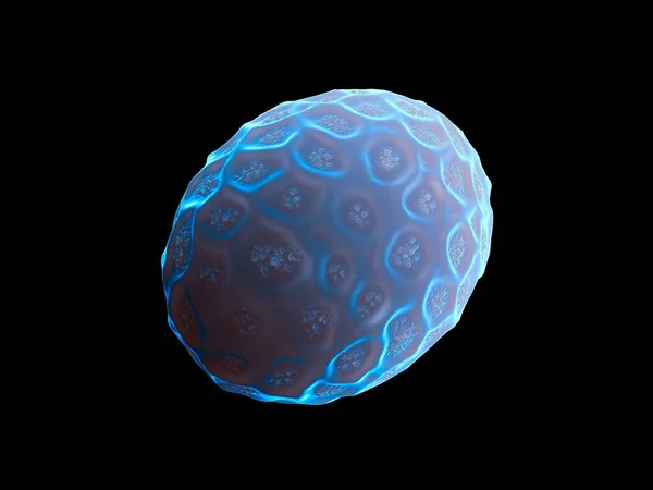 Rendering Nematode Worm Egg — Φωτογραφία Αρχείου