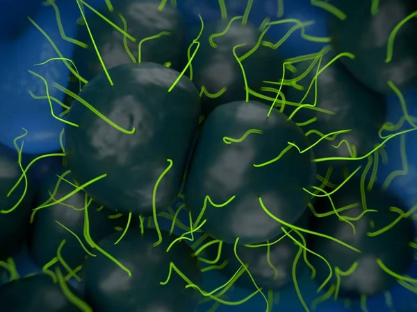 Рендеринг Neisseria Gonorrhoeae Бактерии — стоковое фото