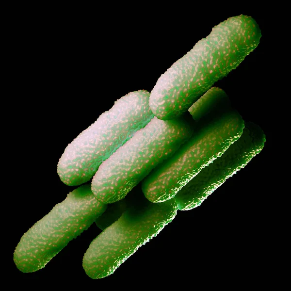 Abbildung Von Bakterienzellen — Stockfoto