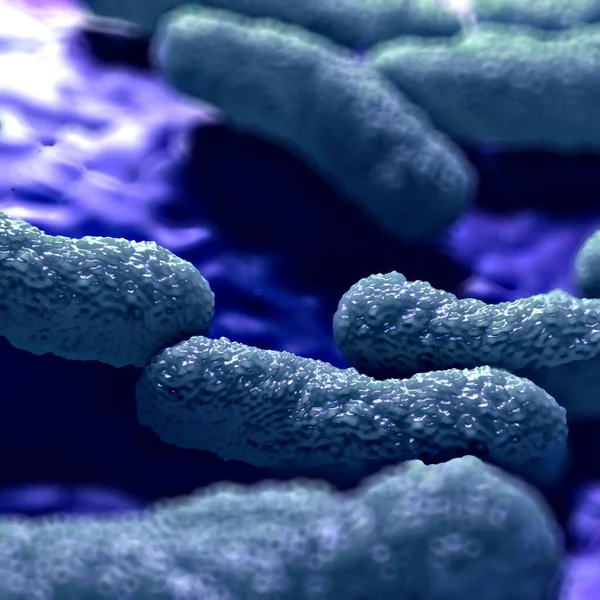 Abbildung Escherichia Coli Bakterien — Stockfoto