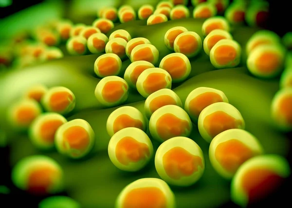Superbugg Eller Staphylococcus Aureus Bakterier Mrsa — Stockfoto