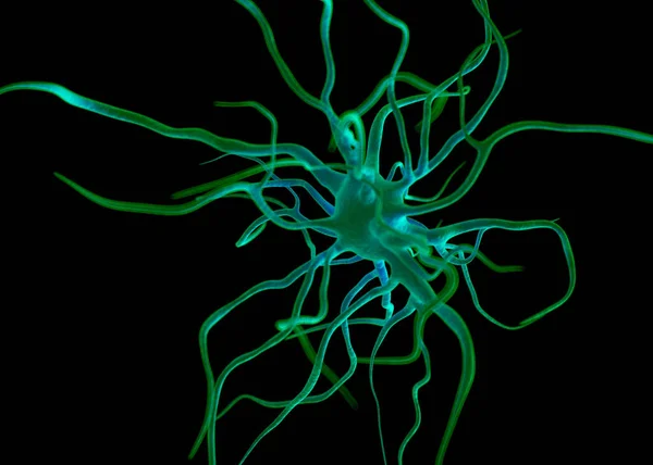 Neuron Nerve Cells Which Form Part Nervous System Which Process — Stock Photo, Image