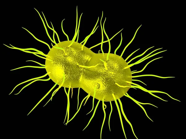 Neisseria Gonorrhoeae Bacteriën Kunstwerken — Stockfoto