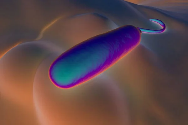 Dessa Gramnegativa Stavformade Bakterier Har Enda Polär Flagellum Orsaken Till — Stockfoto