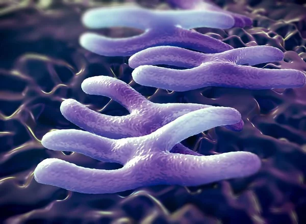 Chromosomy Pakowaną Formą Dna Formy Materiału Genetycznego Podczas Replikacji Komórek — Zdjęcie stockowe