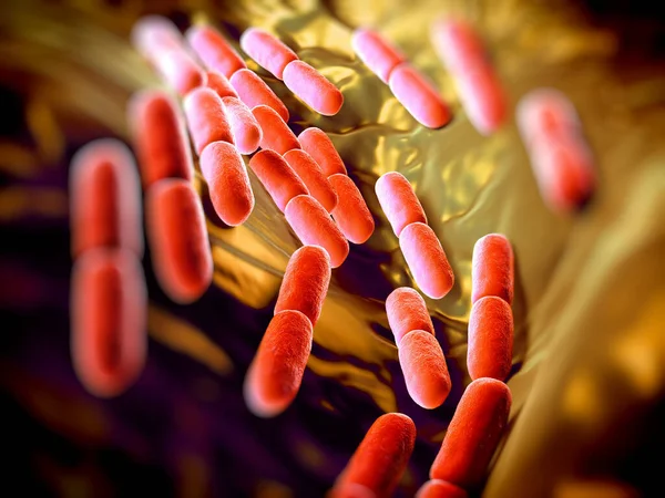 Bakterie Lactobacillus Bulgaricus Bakterie Kształcie Pręta Gram Dodatnie Rosną Kwasach — Zdjęcie stockowe