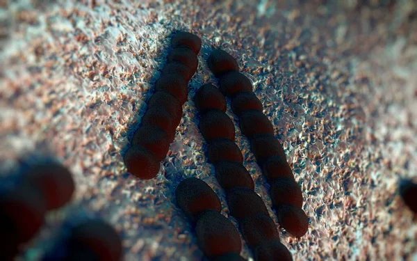 Streptococcus pneumoniae, Gram-pozitif koküs şekilli patojenik bakteridir ve zatürreye ek olarak pnömokok enfeksiyonlarına neden olur. .