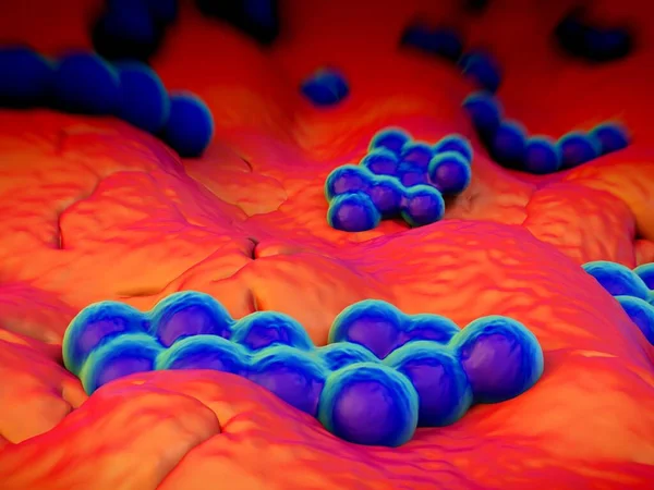 Batteri Superbug Staphylococcus Aureus Mrsa — Foto Stock