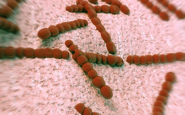 Streptococcus Pneumoniae Bakterien Kunstwerk — Stockfoto