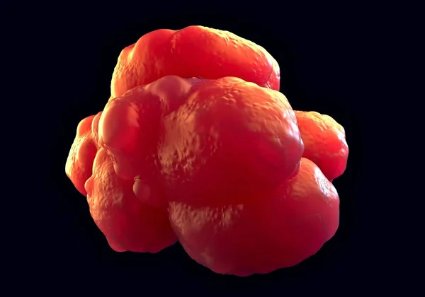Abbildung Pluripotente Stammzellen — Stockfoto