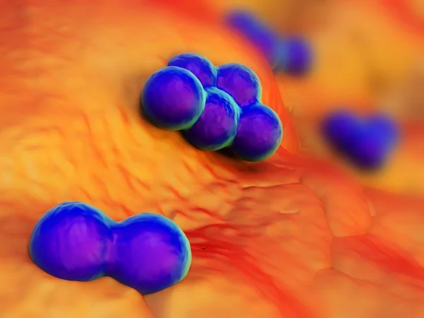 Batteri Superbug Staphylococcus Aureus Mrsa — Foto Stock