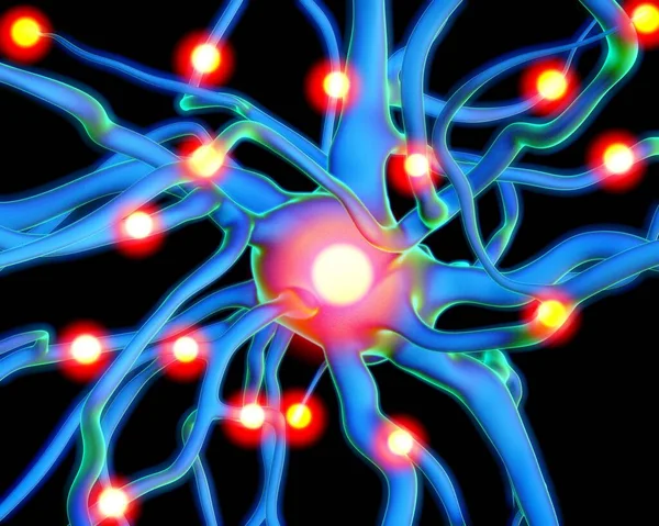 Рендеринг Иллюстрации Нервные Клетки — стоковое фото