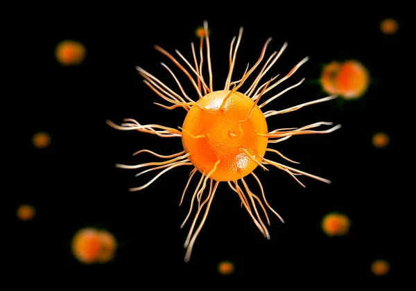 Neisseria Gonorrhoeae Batteri Opere Arte — Foto Stock