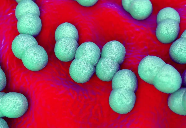 Superbug Staphylococcus Aureus Mrsa Bacterie — Stockfoto