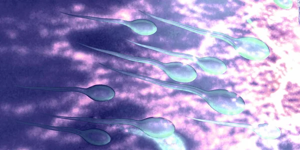Sperm cell closeup illustration