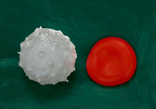 Glóbulos Rojos Plaquetas Activadas Glóbulos Blancos Fotos Microscópicas —  Fotos de Stock